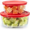 2 Pack (Large)